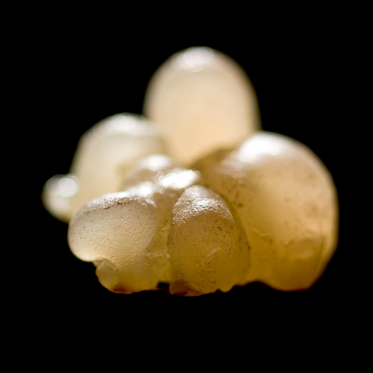 Casperome<sup>®</sup> 的健康作用