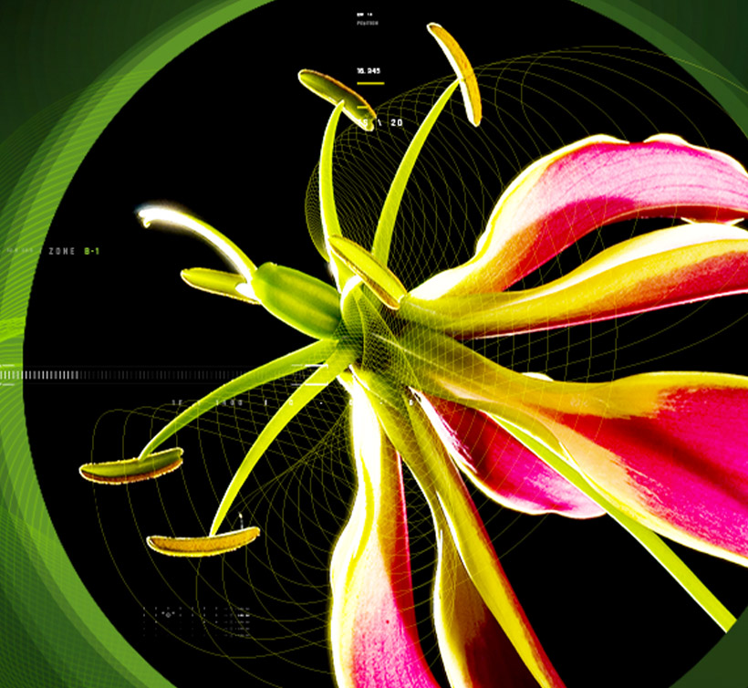 Colchicine – 秋水仙碱 (微粉化)