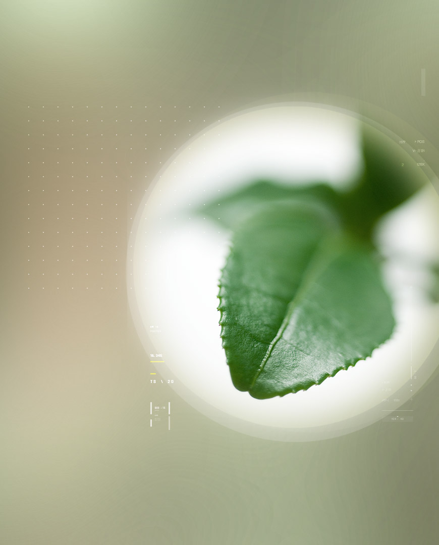 Greenselect® Indena Phytosome™