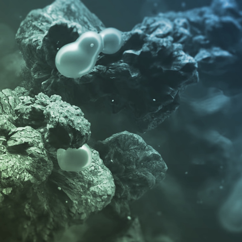 了解Silymarin - Indena Phytosome<sup>™</sup><br>的前沿特征