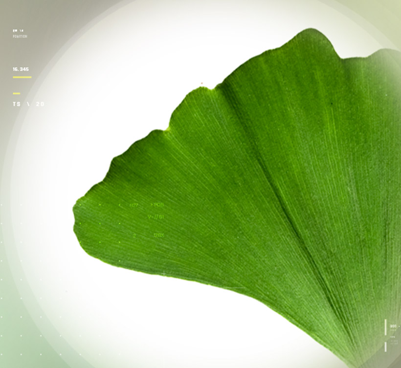 Virtiva<sup>®</sup> Plus