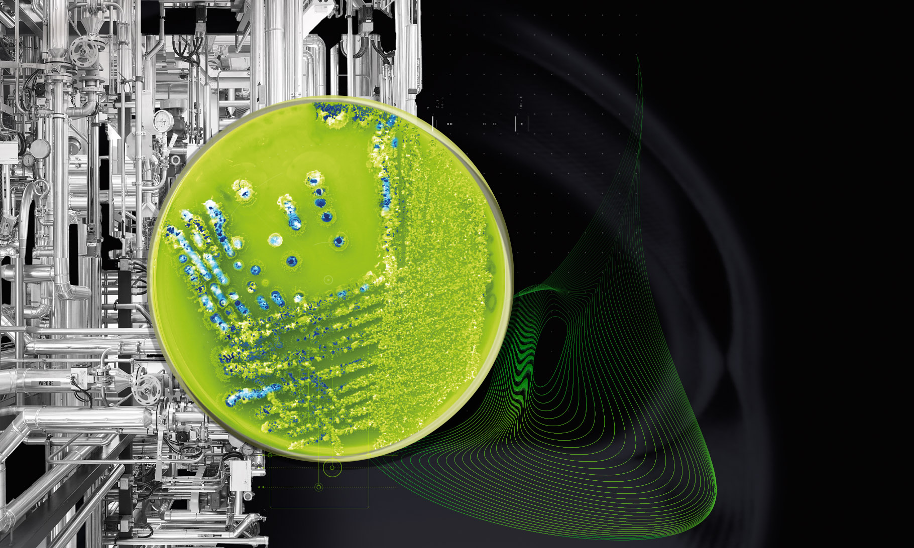 了解更多CDMO服务