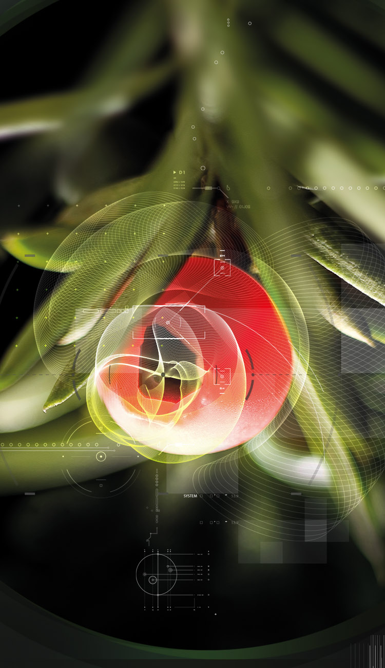 Pick – or develop – the best ingredients for your needs