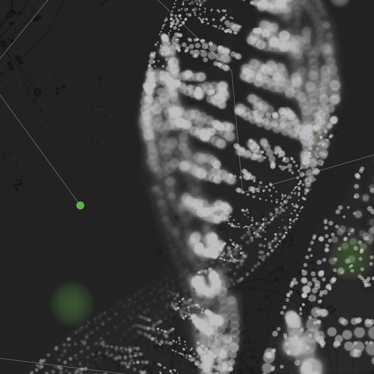 提取物的 DNA 检测
