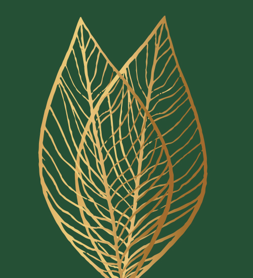 First Indena phygital summit to celebrate its heritage and its vision for the next 100 years