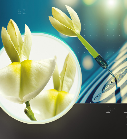 Quercetin Phytosome<sup>®</sup> vs COVID-19: one more scientific evidence