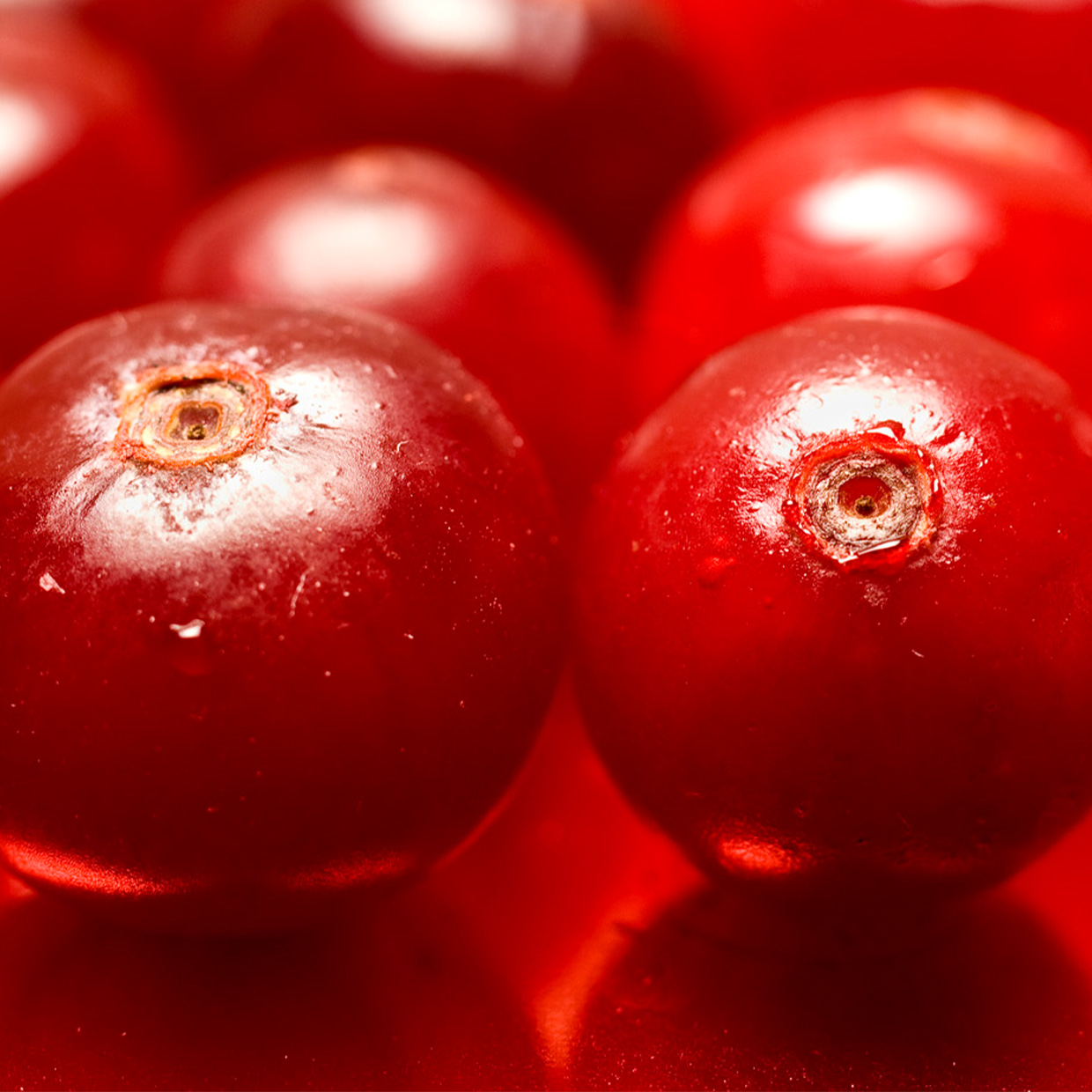 Anthocran<sup>®</sup> Indena Phytosome™ into action