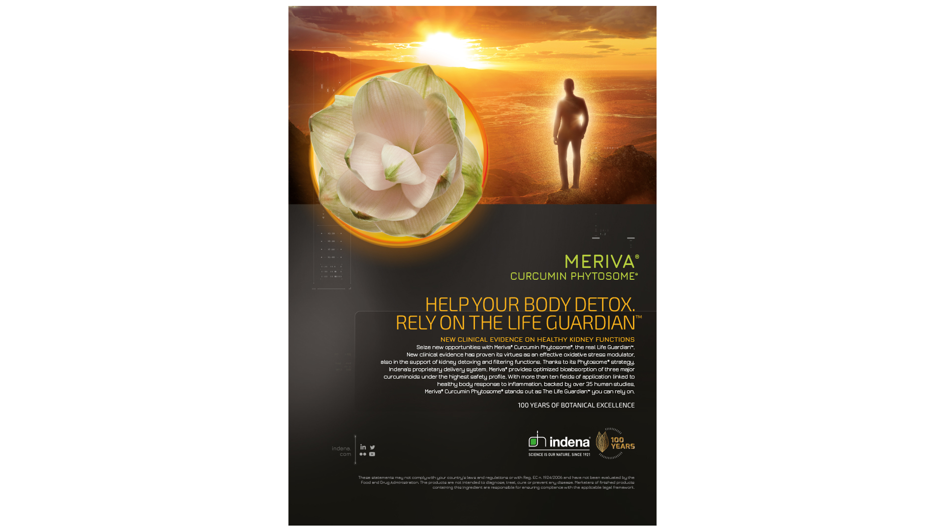 meriva-kidney-visualizzazione-adv-lg