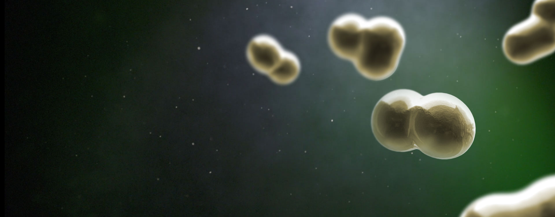 <h1>フィトソーム<sup>®</sup>の特徴</h1>