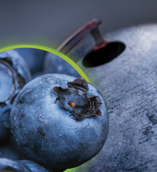 Mirtoselect<sup>®</sup> ADV