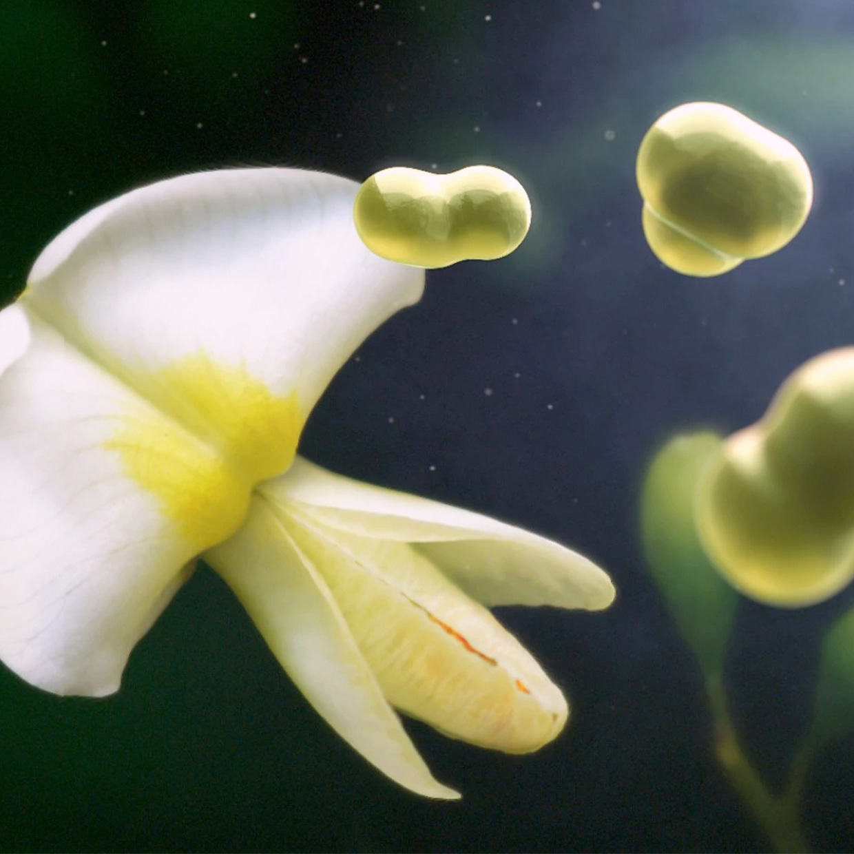 PHYTOSOME<sup>®</sup>:<br>OVER 4 BILLION SERVINGS*