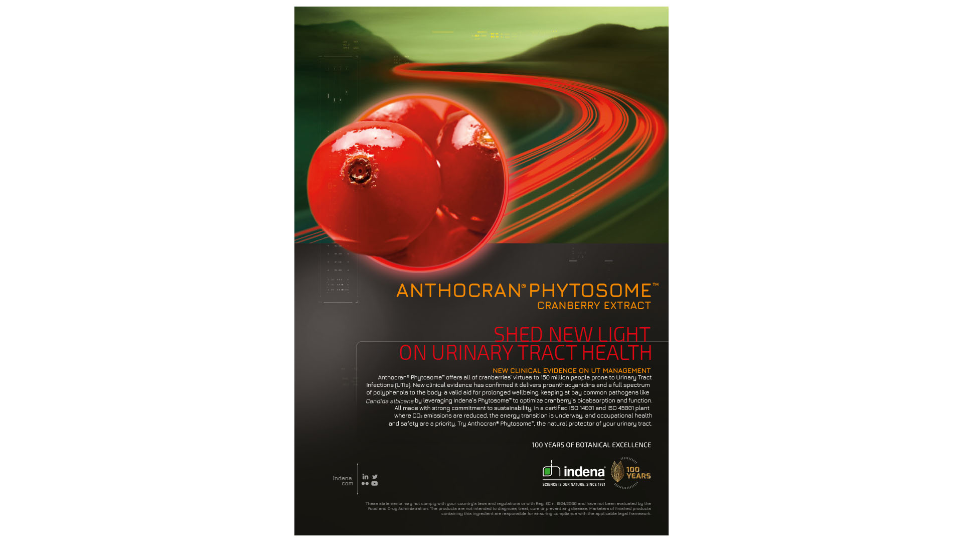 anthocran-visualizzazione-adv-lg_TM2023