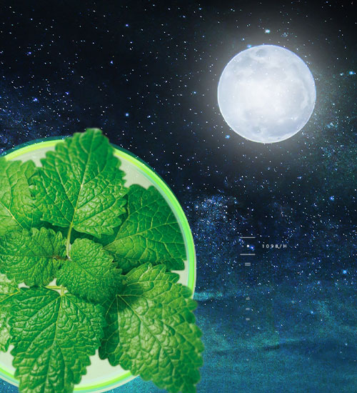 Relissa<sup><sup>®</sup></sup> ADV