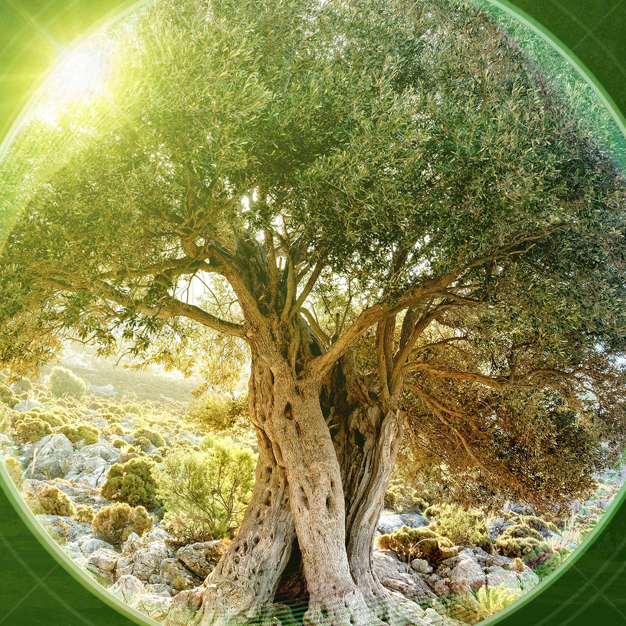 Ready to join our journey through sustainability?