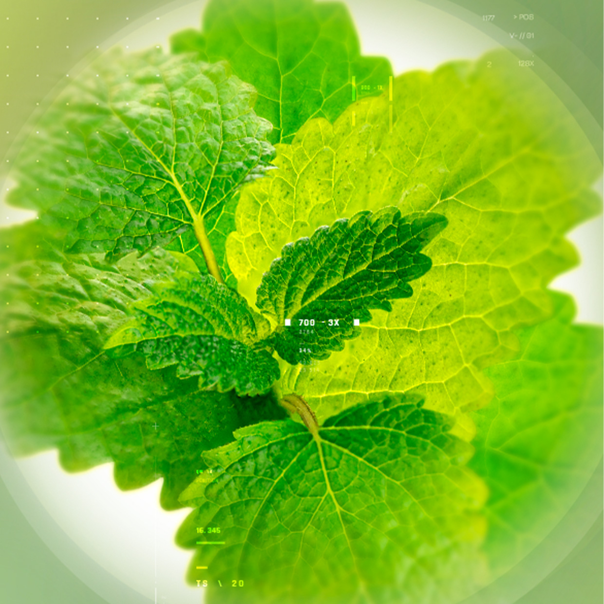 KEEP CALM, THERE’S RELISSA™.