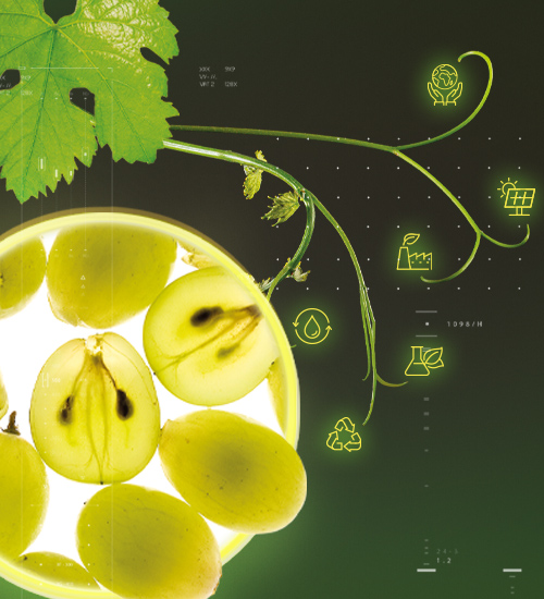 Enovita<sup><sup>®</sup></sup> ADV