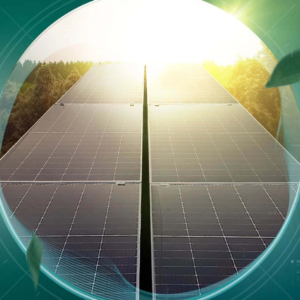 Ensure business continuity within a framework of sustainability