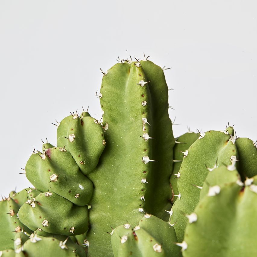 A sustainable approach