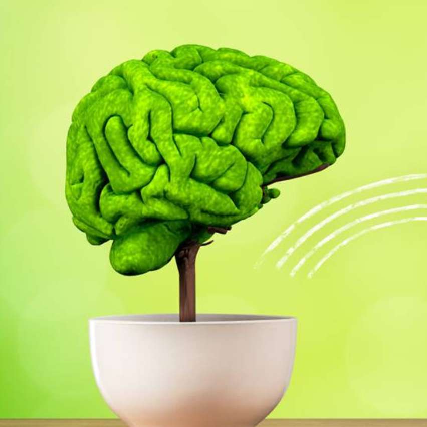 BOOST YOUR BRAIN AND MENTAL HEALTH WITH THE HELP OF NATURE