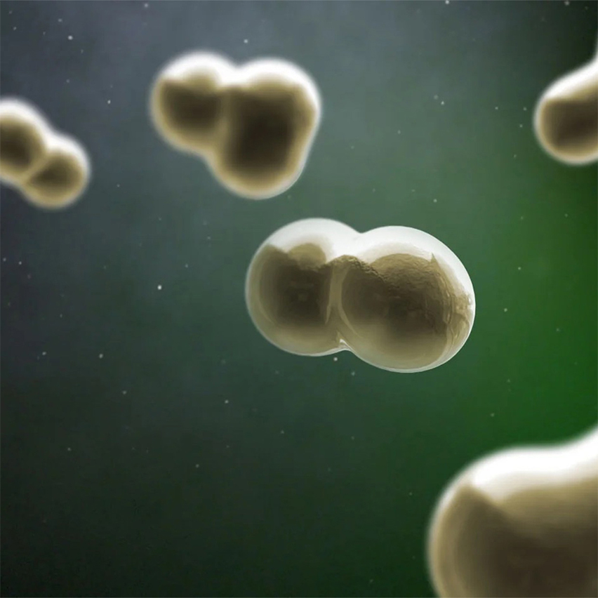 Find out how Cronilief™ is one step beyond