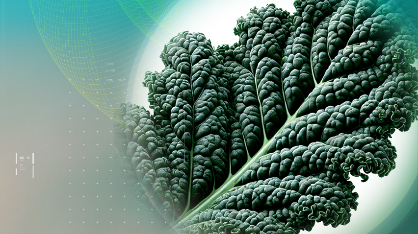 Detox with Purebkale™