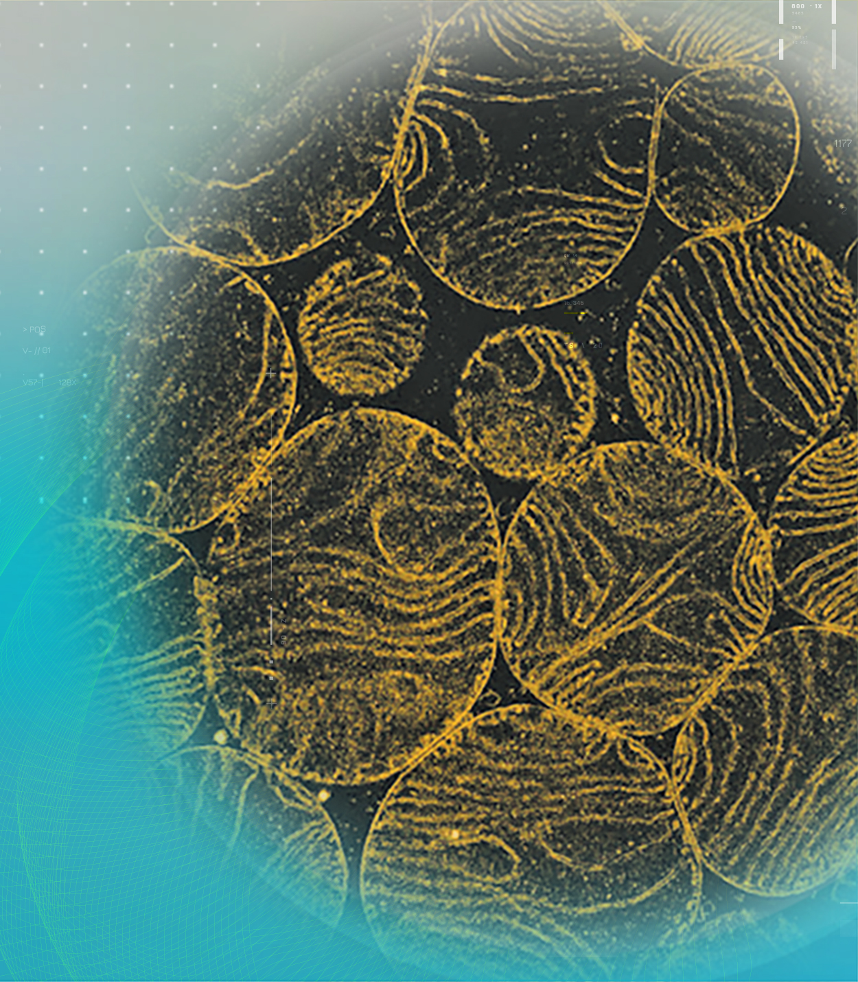 SABALSELECT<sup>®</sup>