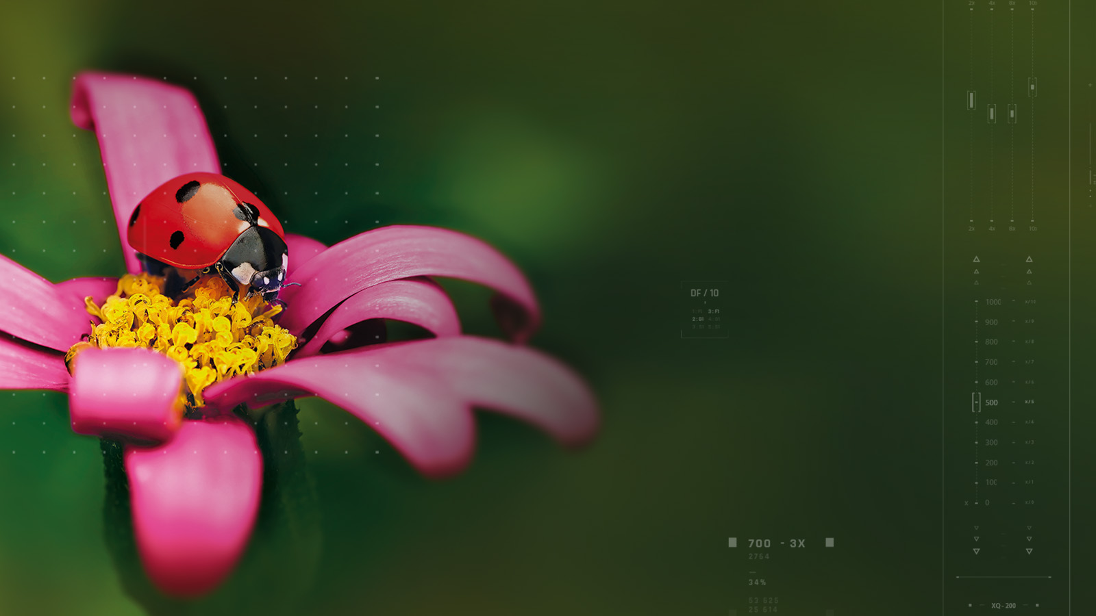 brain-health-slider-dsk-1600×900