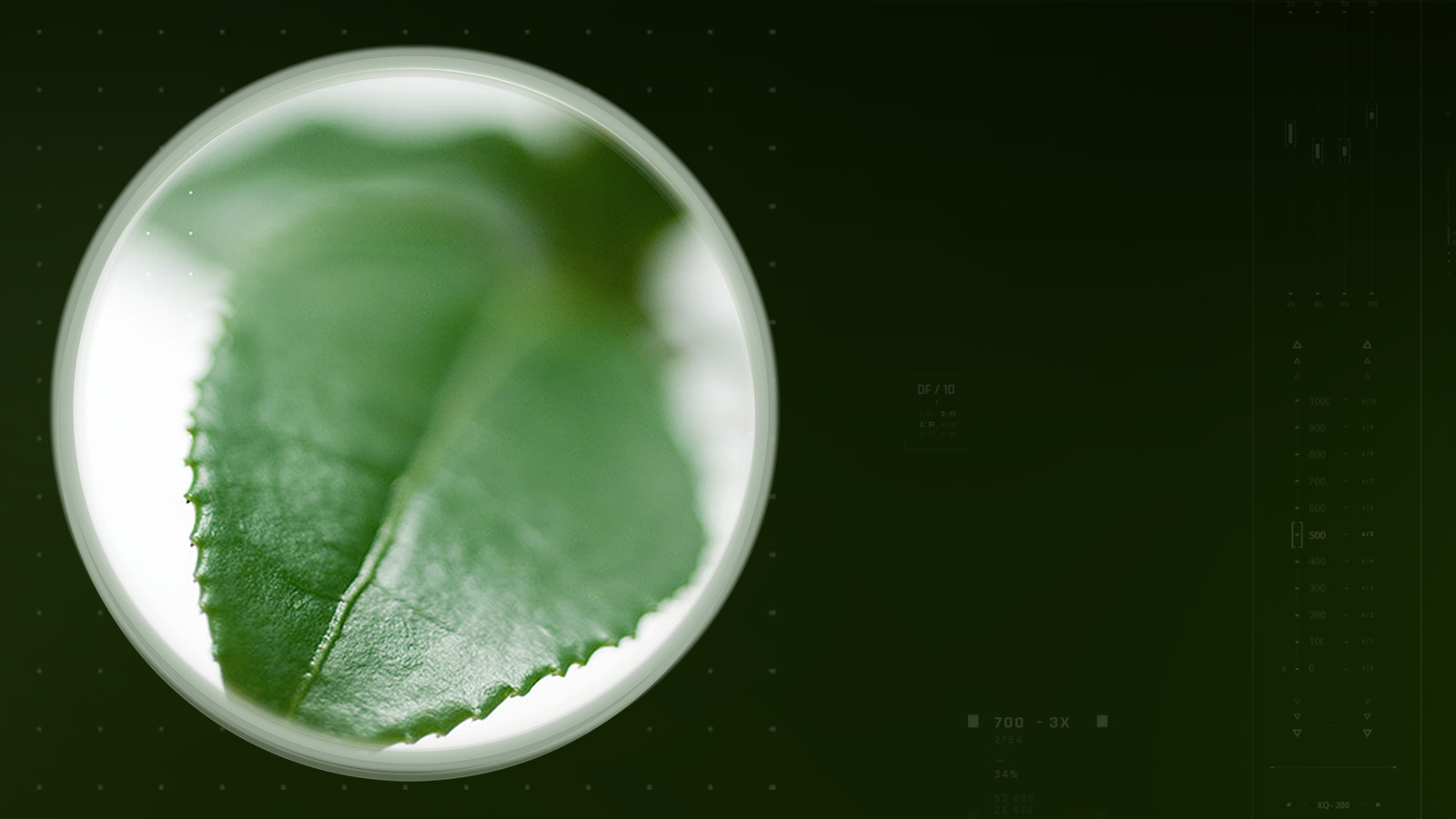 greenselect-slider-dsk-1600×900