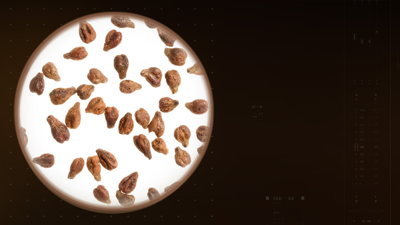 leucoselect-slider-dsk-1600×900