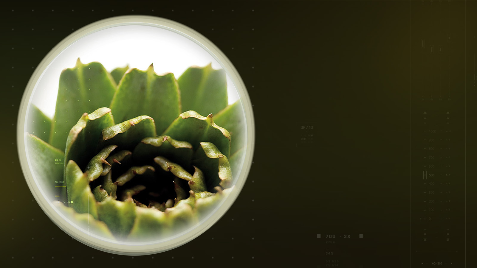 prodigest-slider-dsk-1600×900