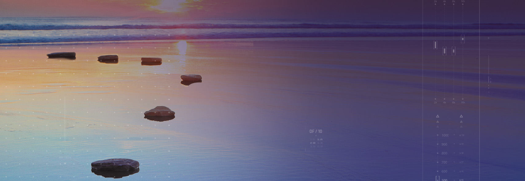 Weight loss companions