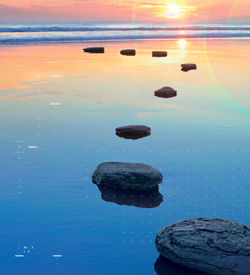 Weight Loss Companions