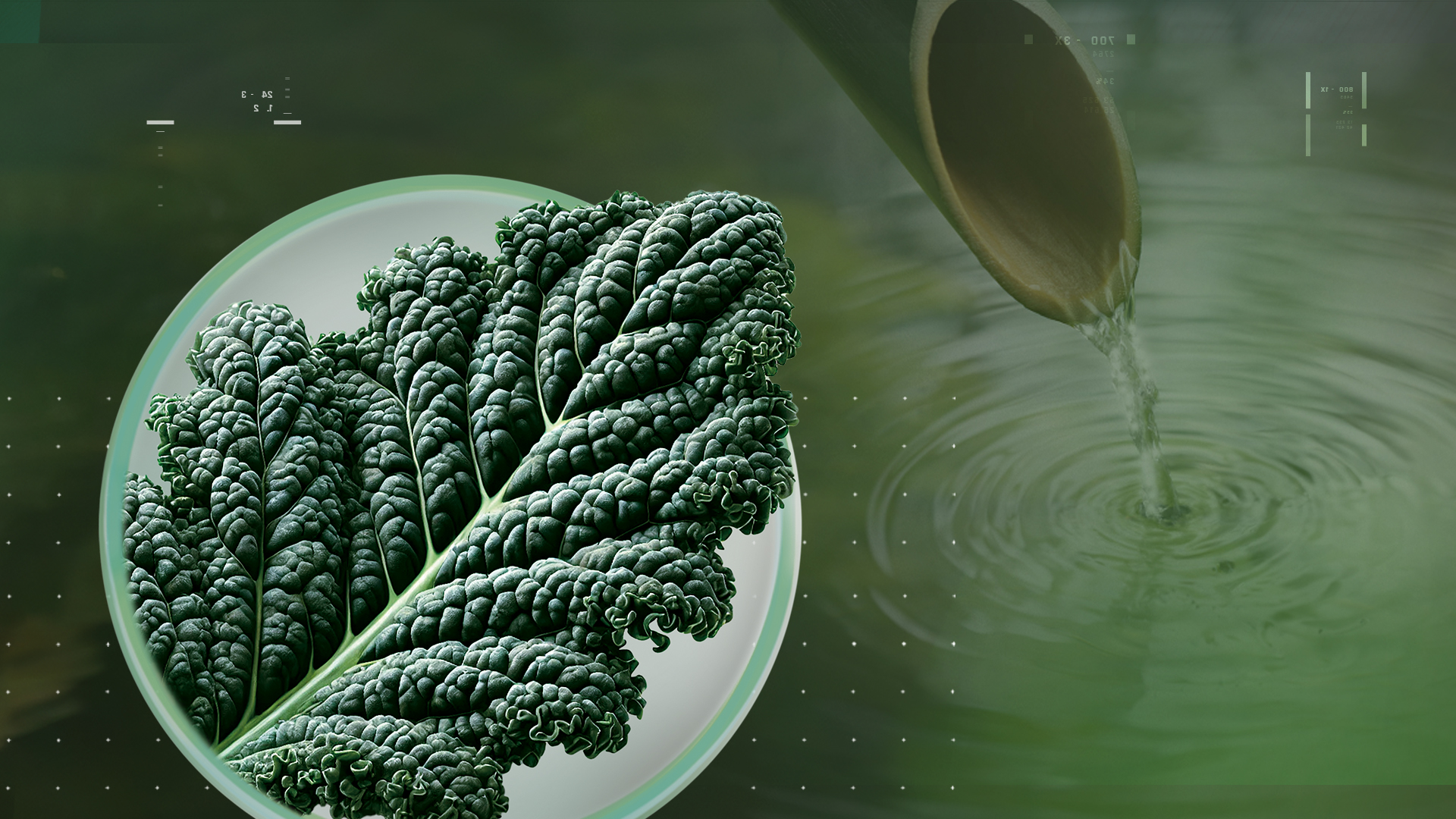 PureBKale™