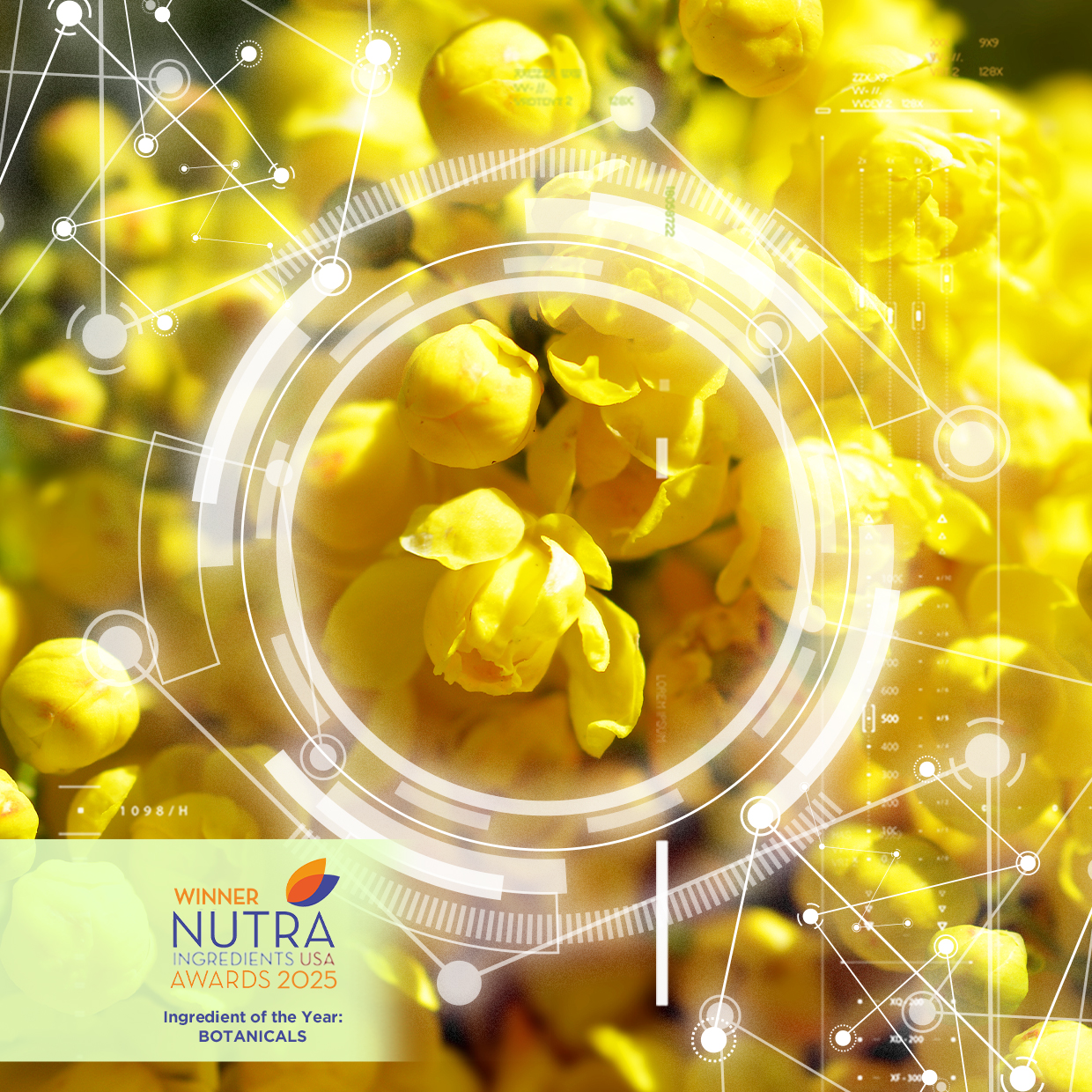 BERBEVIS<sup>®</sup> WINS NUTRAINGREDIENTS-USA AWARD