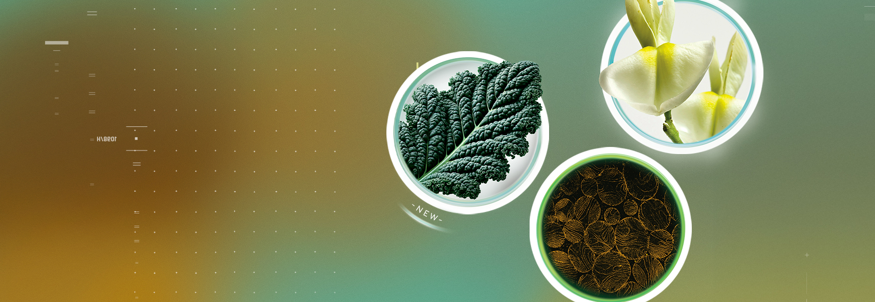 Your golden aging starts today