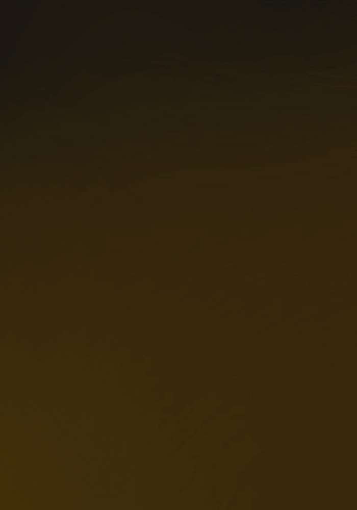 Shield with Quercefit<sup>®</sup>