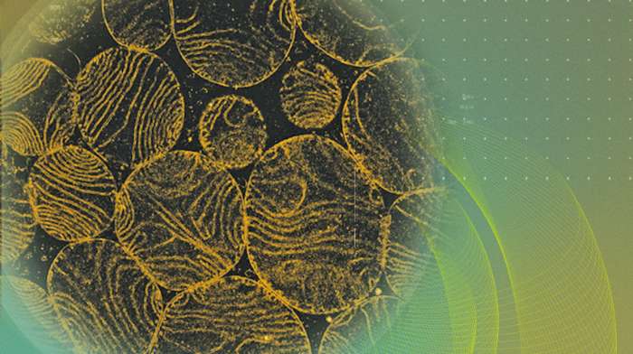 Power with Ubiqsome<sup>®</sup>