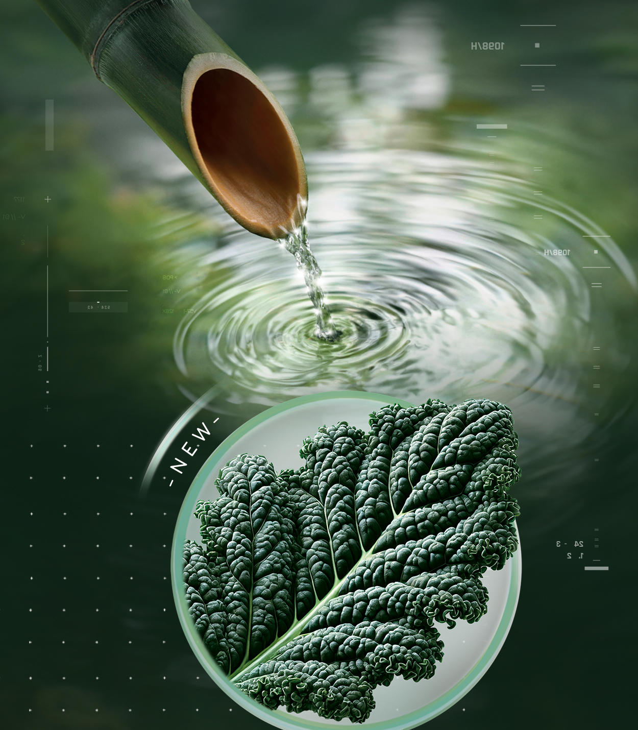 Purebkale<sup>®</sup>