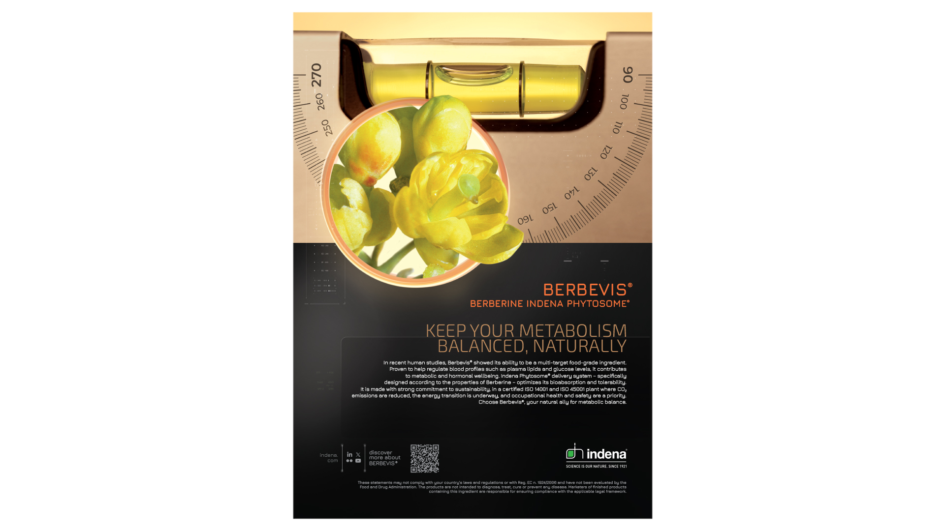 berbevis-dec25-visualizzazione-adv-lg