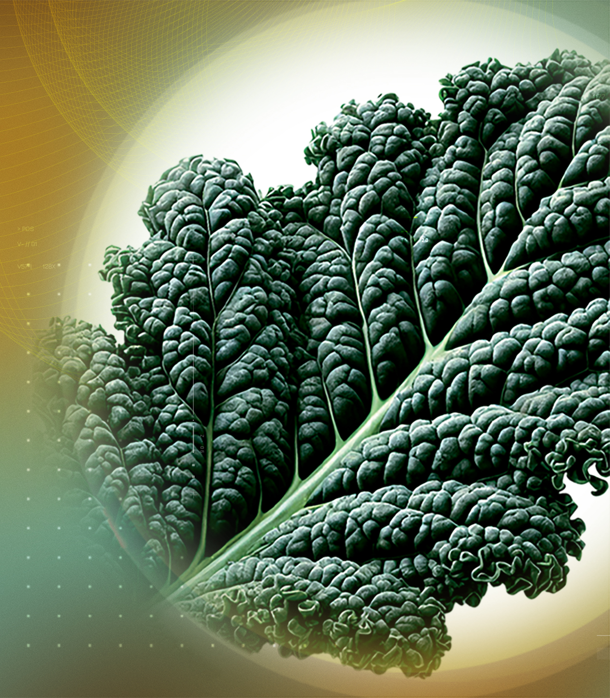 PUREBKALE<sup>®</sup>