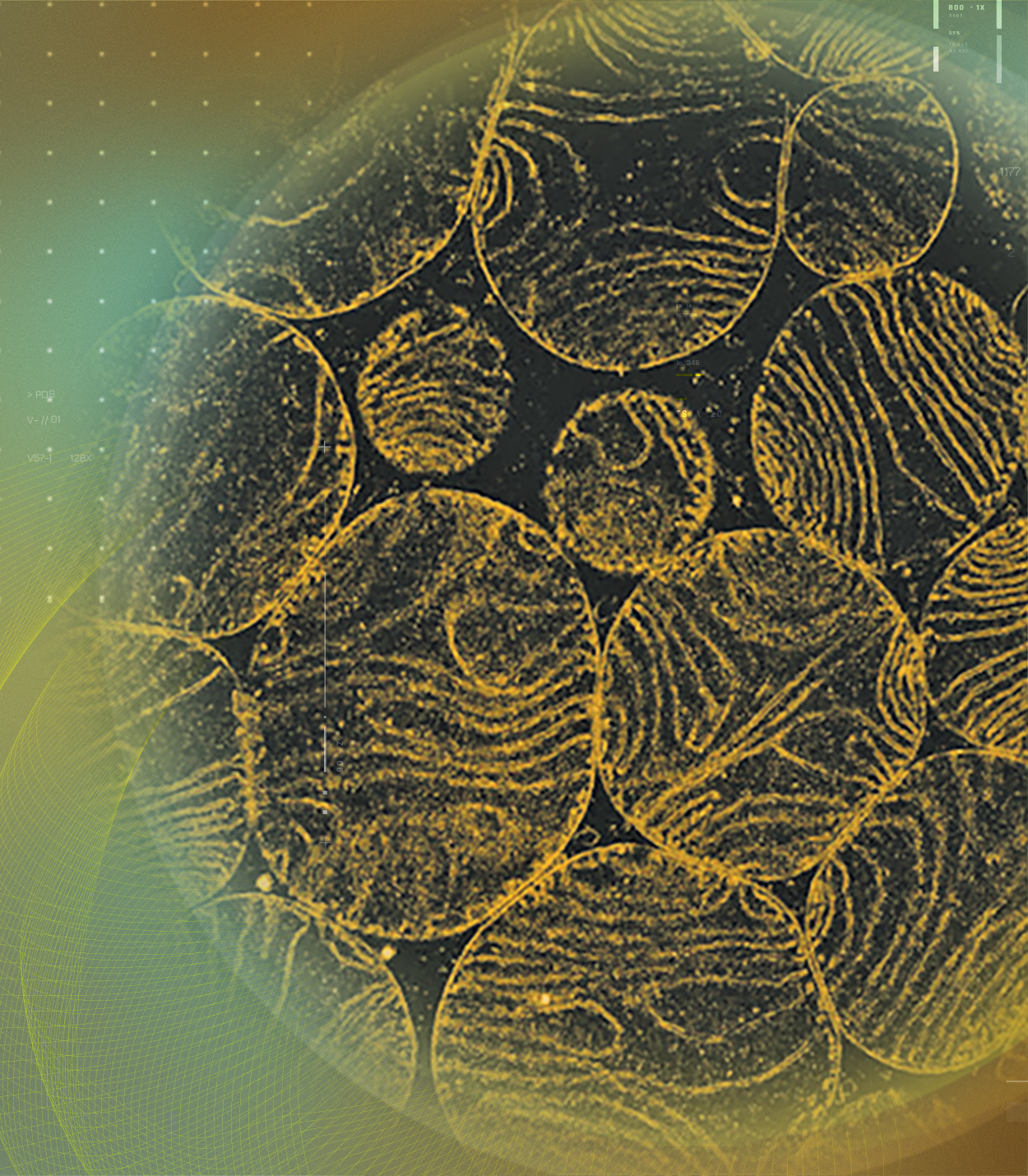 UBIQSOME<sup>®</sup>