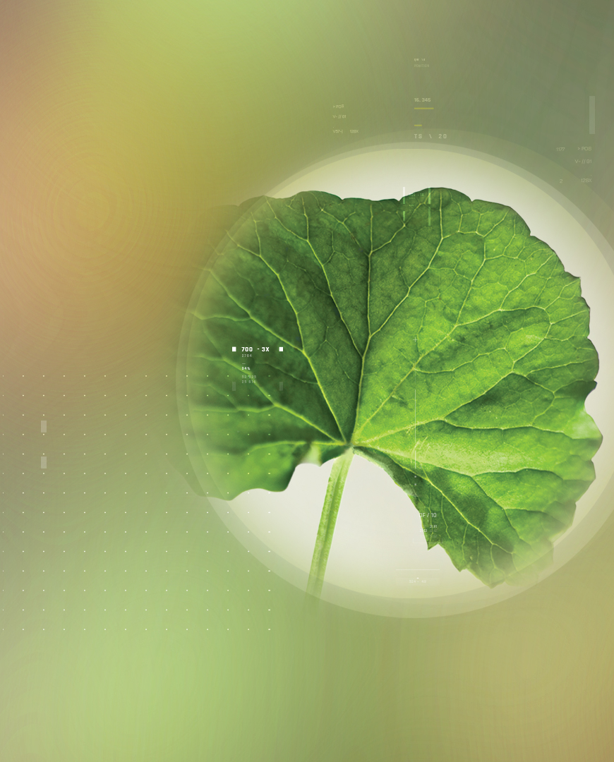 Centextra<sup><sup>®</sup></sup>