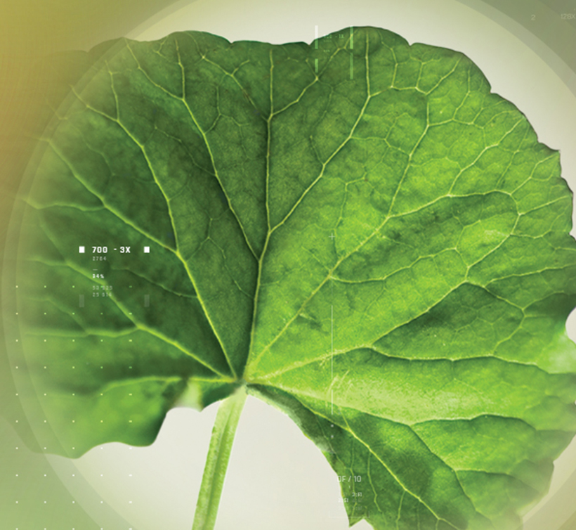 Centextra<sup><sup>®</sup></sup>