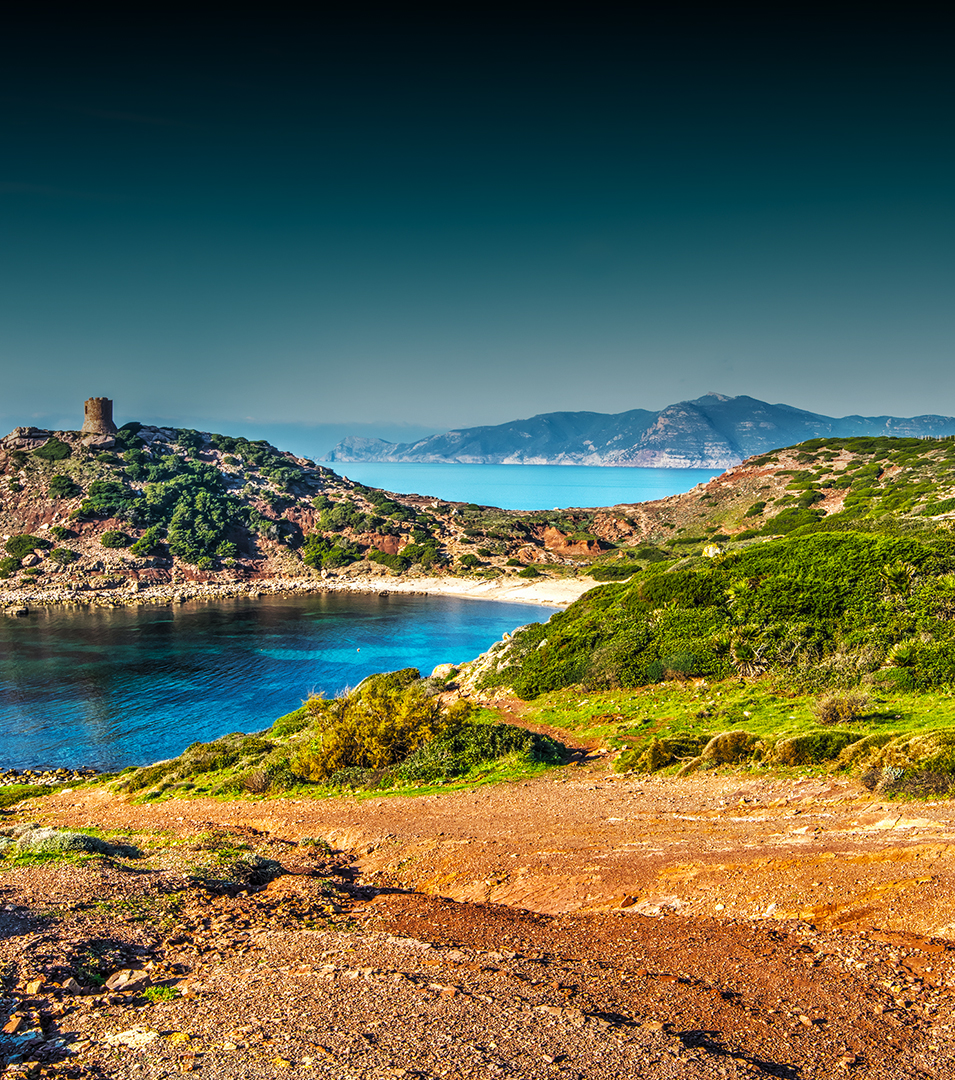 Centextra<sup><sup>®</sup></sup>