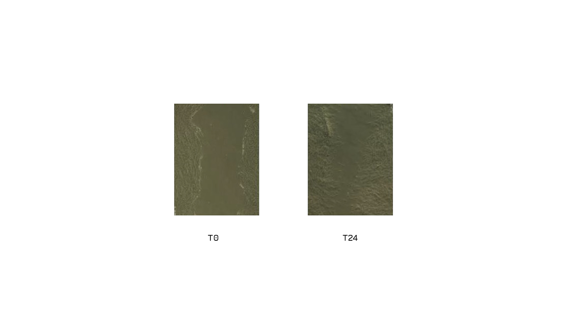 relissa_sts_desktop-mobile