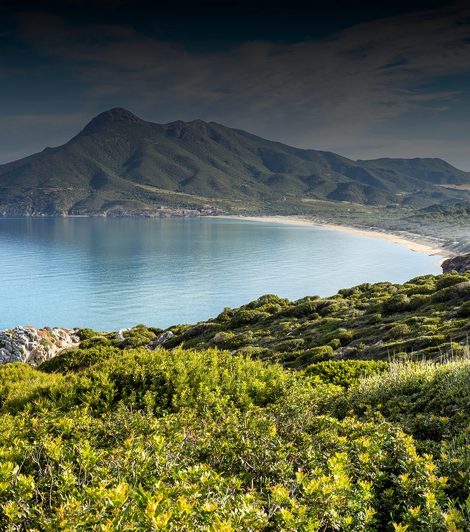 Centextra<sup><sup>®</sup></sup>