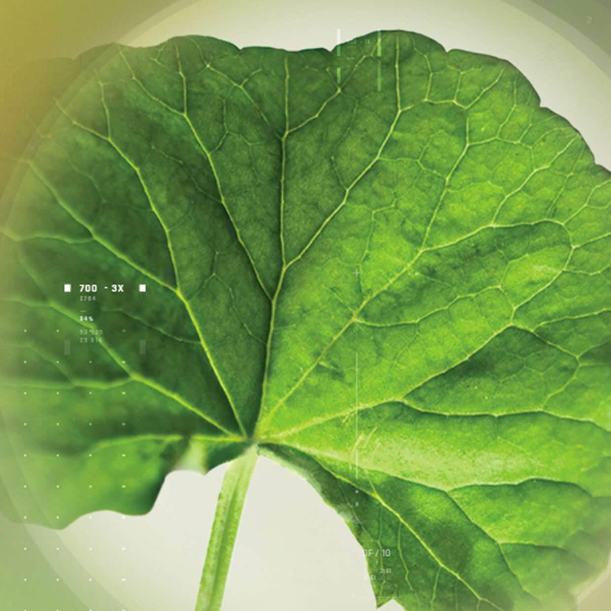 A NEW SOLUTION TO REDEFINE SKIN HEALTH